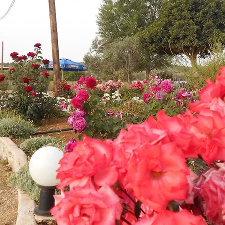 Blue Penzion Porto Cheli