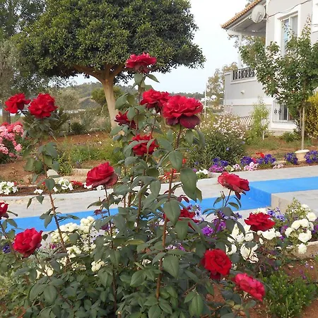 Guest house Blue
