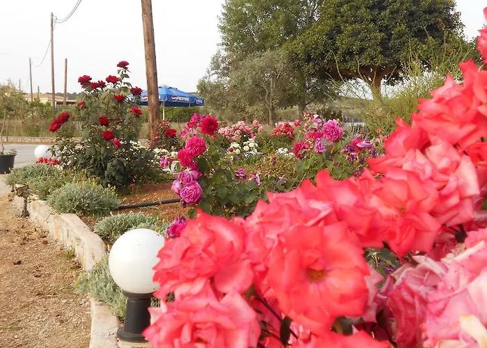 Blue Πανσιόν Πόρτο Χέλι